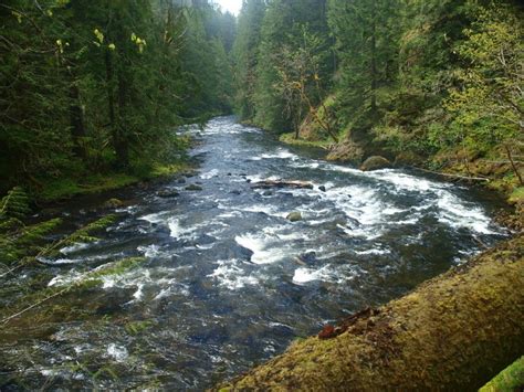 The Salmon River Trail - Backpacking/Camping | Rio