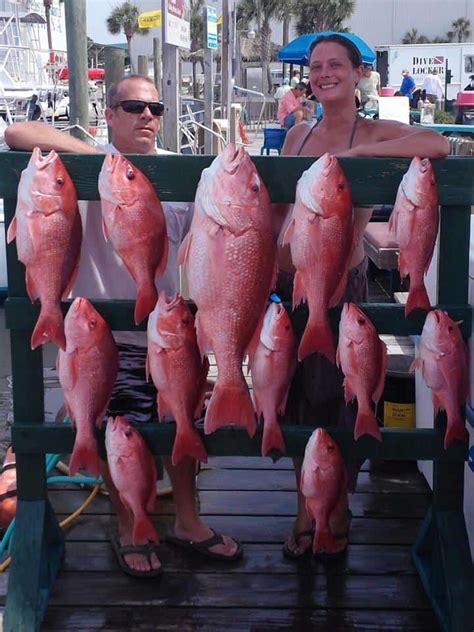 2018 Panama City Beach Deep Sea Fishing Trip - Private Charters Sport ...