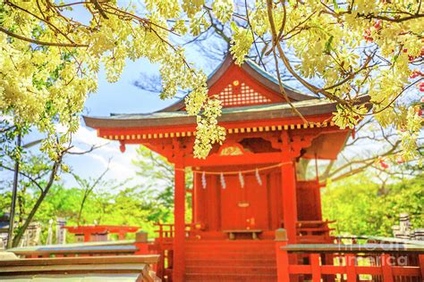 Benzaiten Shrine springtime Photograph by Benny Marty - Pixels