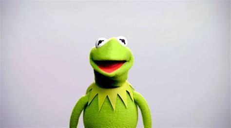 [100+] Kermit The Frog Pictures | Wallpapers.com