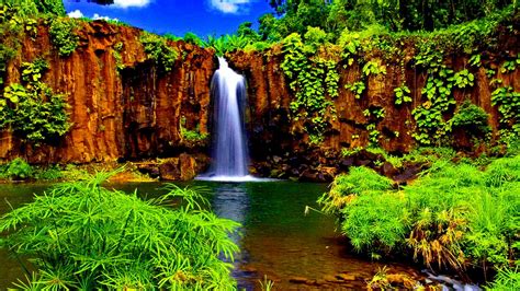 Download Nature Tropical Green Waterfall HD Wallpaper