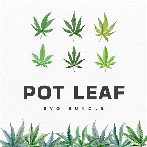 Succulent SVG Bundle – MasterBundles