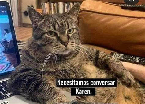 ¿Quién es Karen? La chica que mencionan los memes de gatos - La Noticia