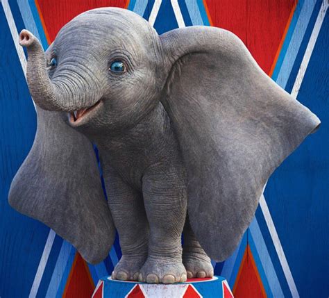 How Did You Score on Our Dumbo Trivia Quiz? | BU Today | Boston University