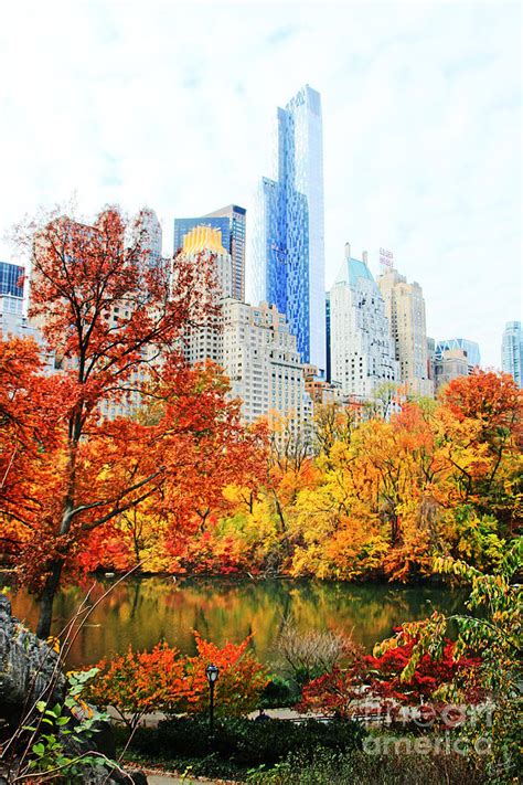 Fall Colors and Buildings along Central Park Photograph by Nishanth ...