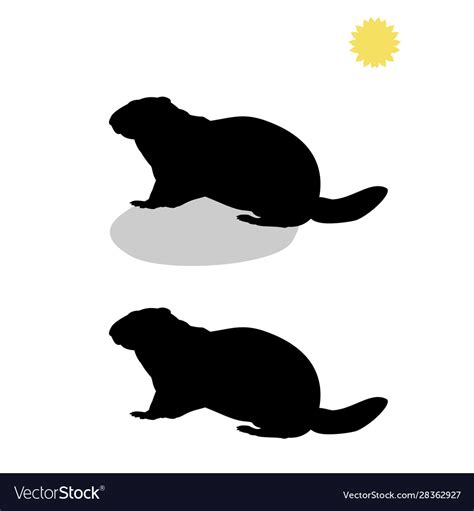 Holiday groundhog day falling shadow prediction Vector Image