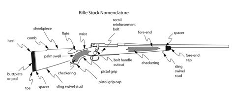 Back To Basics: Rifle Stock Components & Designs | An Official Journal ...