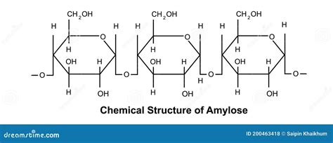 Chemical Structure Of Amylose Vector Illustration | CartoonDealer.com ...