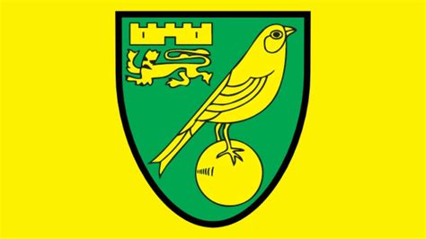 Know How Norwich City Manager Daniel Farke Guided His Team From The ...