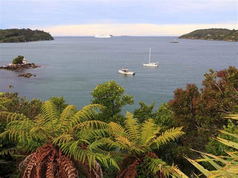 Oban, Stewart Island, New Zealand