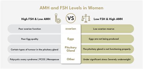 How To Increase Fsh - Netwhile Spmsoalan