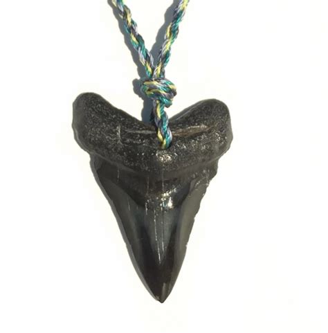 I was inspired by Liam to get my own camel tooth necklace. I can't wait ...