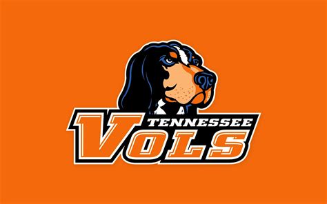 tennessee vols - Google Search | Tennessee volunteers, Tennessee ...