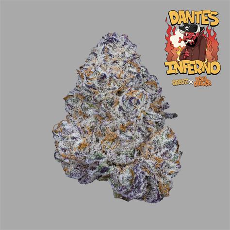 Dante’s Inferno Cannabis Strain | Freddy's Fuego