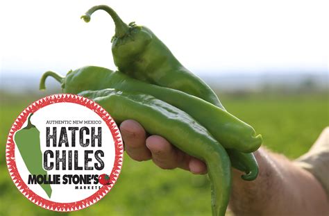 Mollie Stone's Markets - Hatch Chile Season