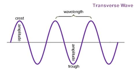 Waves - The Basics | Digestible Notes