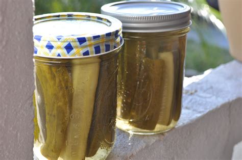 canning pickles | Mason jar meals, Pickles, Meals in a jar