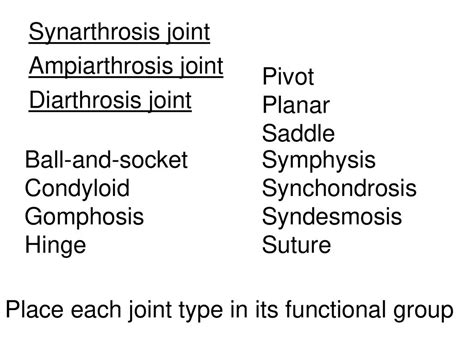 Chapter 9 vocab review Fibrous joint Pivot Cartilaginous joint Planar ...