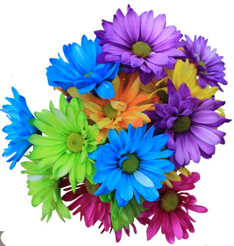 Daisy Bouquet PNG by Thy-Darkest-Hour on DeviantArt