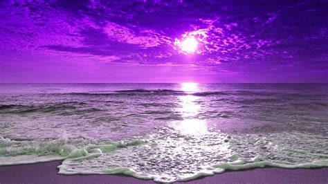 Purple Horizon: Sunset Beach HD Wallpaper