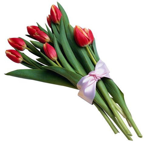 Free Cliparts Tulip Bouquet, Download Free Cliparts Tulip Bouquet png ...