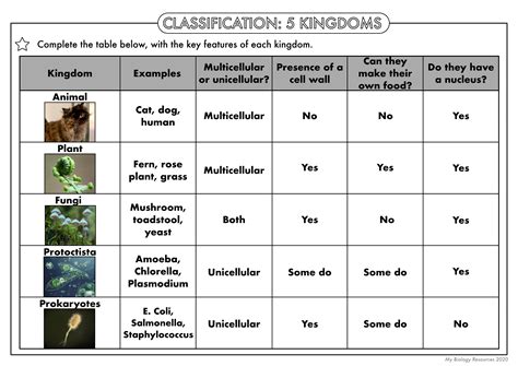 GCSE Biology: Classification Worksheet Pack | Teaching Resources