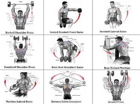 5 Best Shoulder Exercises that Can Turn You into Beast