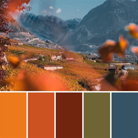 The Go-To Guide for Autumn Colours