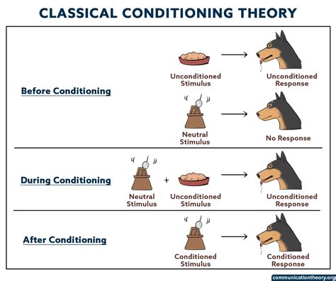 Classical Conditioning – The Pavlov’s Dogs Experiment