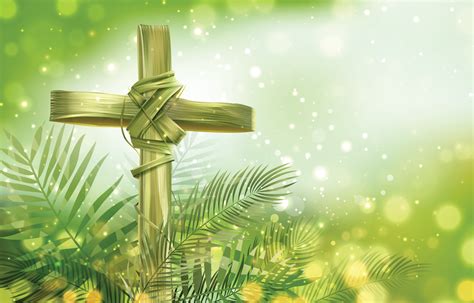 Palm Sunday Background with Palm Cross 5053839 Vector Art at Vecteezy