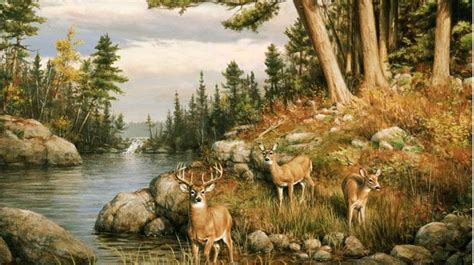 deer wall murals | Wallpaper Murals | Deer wall mural, Wildlife ...