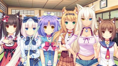 Nekopara | Neko Amino