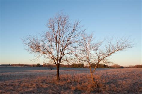 Birds Hill Provincial Park Manitoba Stock Photo | Royalty-Free | FreeImages