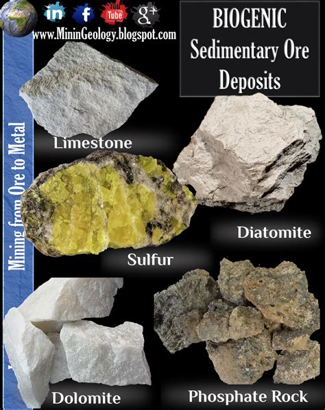 Biogenic Sedimentary Ore Deposits ~ Mining Geology