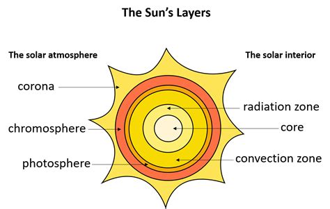 Make a sketch that shows the Sun's layers in your Science Jo | Quizlet