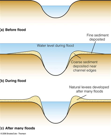 Levee Diagram / Iowa State geotechnical engineer studied failed levees ...