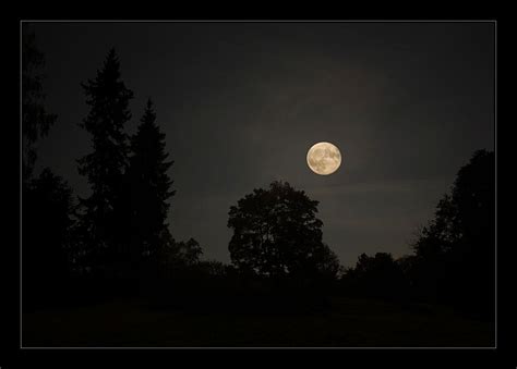 Full moon over forest by Hartmut-Lerch on DeviantArt