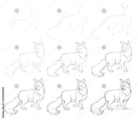 How To Draw A Cute Fox Step By Step