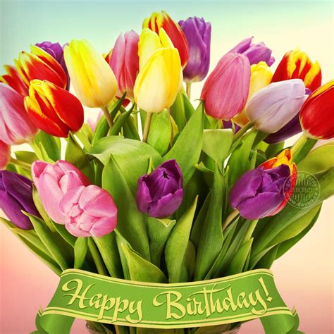 Happy Birthday Beautiful Tulips / These soft and fuzzy messages can be ...