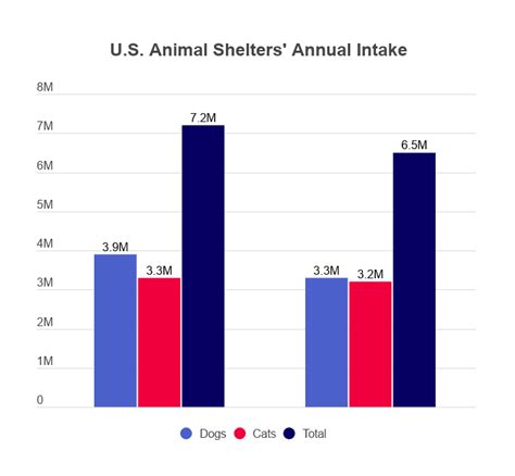 Animal Shelter Statistics [2021]: Facts & Data by Year