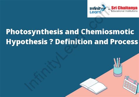 Photosynthesis and Chemiosmotic Hypothesis – Definition and Process ...