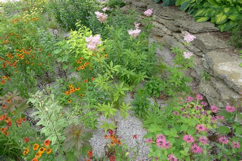 How to Build a Rain Garden | Plants and Designs | The Old Farmer's Almanac