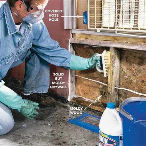 How To Remove Mold: Mold Remediation — The Family Handyman