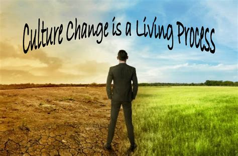 Real World Improvement: Culture Change is a "Living Process ...