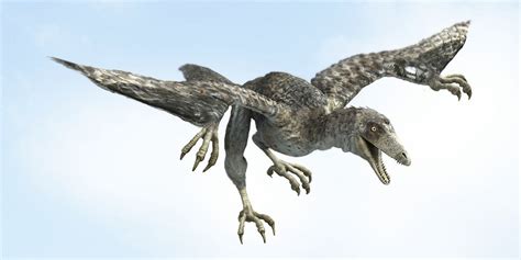 Archaeopteryx Facts, Habitat, Pictures and Diet