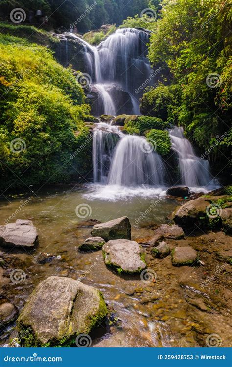 Rock Garden Waterfall stock image. Image of stream, nature - 259428753