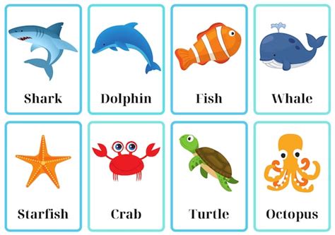 Sea Animal Flashcards - Etsy