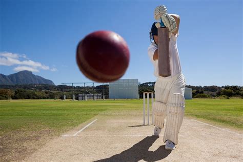 Cricket Tips for Beginners – The Diary