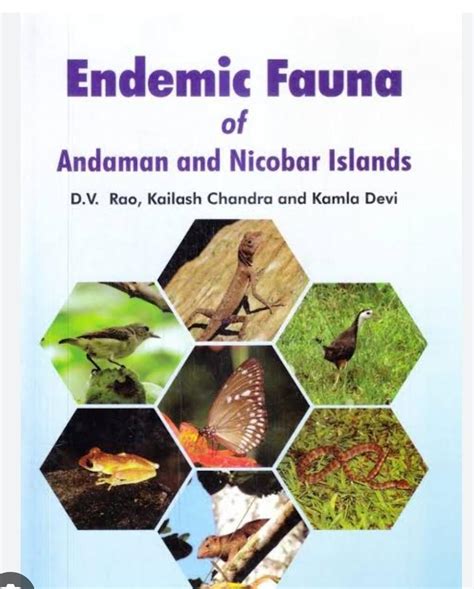 Prepare an assignment on flora and fauna found in Andaman & Nicobar ...