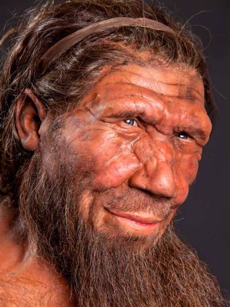 Scientists Identify Neanderthal Genes in Modern Human DNA ...